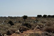 Kokkino Chorio Kreta, Kokkino Chorio: Spektakuläres 80.000 m² großes Grundstück mit Meerblick auf Kreta zum Verkauf Grundstück kaufen